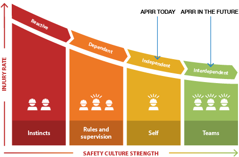 Sydney's South West | Western Sydney | Bar Western Sydney | South West pubs | Restaurants Western Sydney | Best restaurants Western Sydney | Western Sydney cafe | Italian restaurant Western Sydney - Employee Safety - illustration 03a9df4e-4d48-499c-92ab-3002129b0071