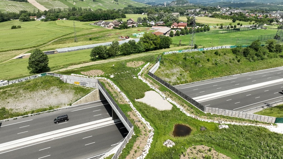 Environmental Stewardship